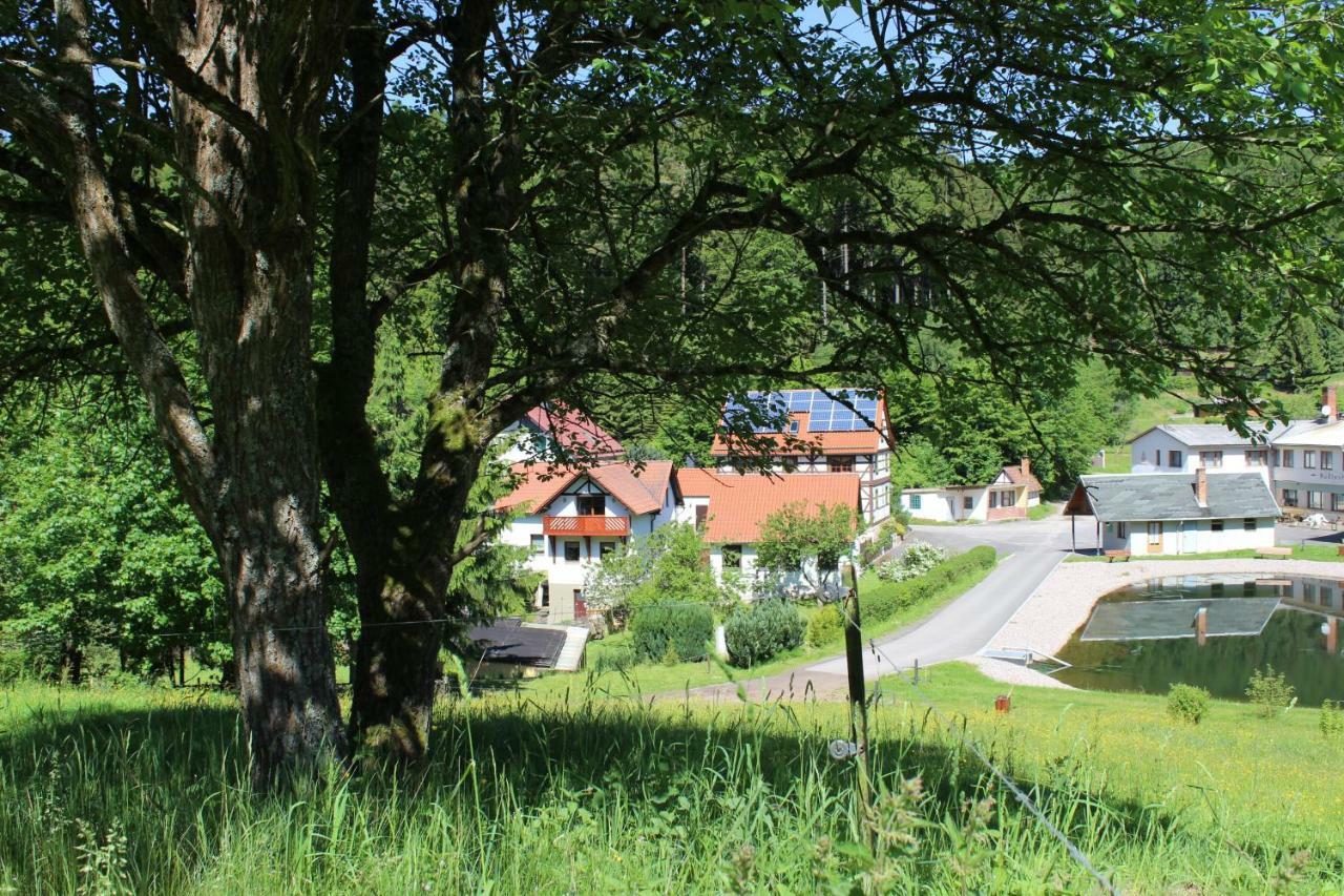 Apartment Nüssleshof